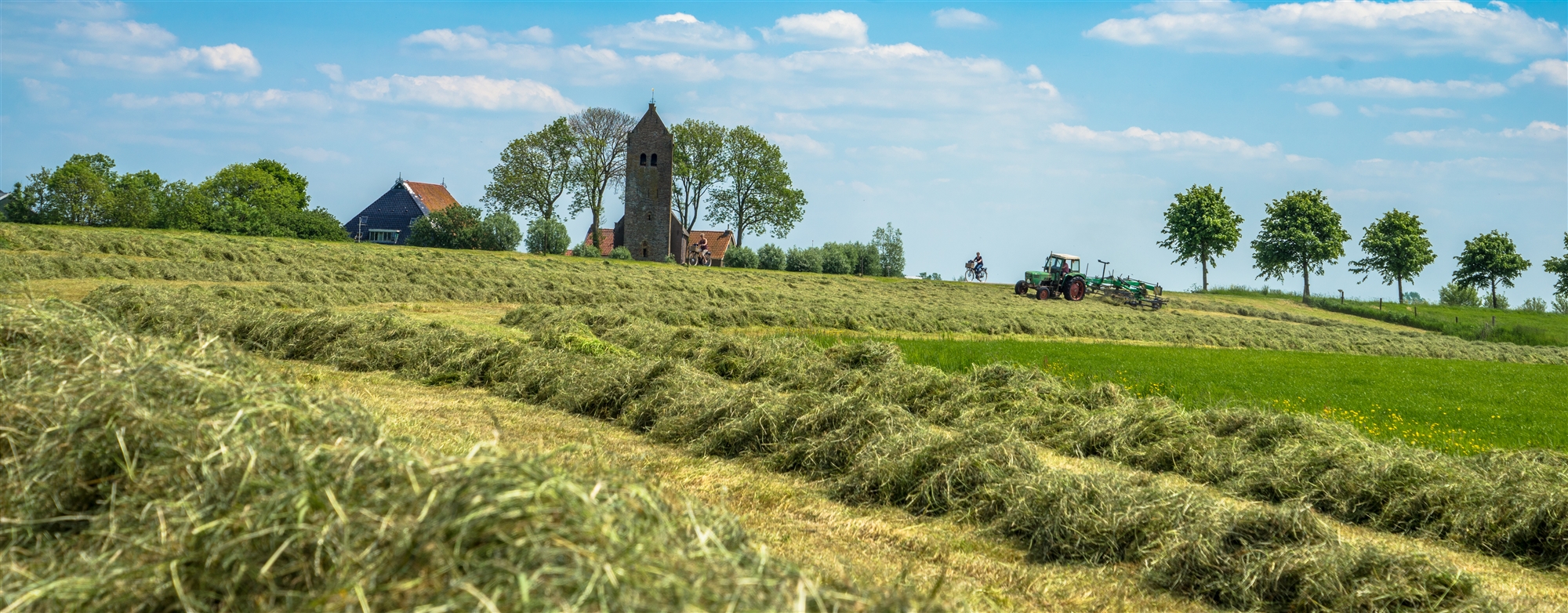 Kerk terp weiland groen werken tractor wonen leven dorp Friesland
