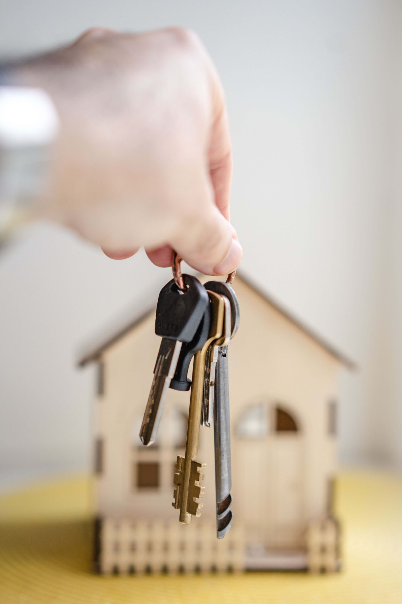 wonen leven friesland huis kopen huren