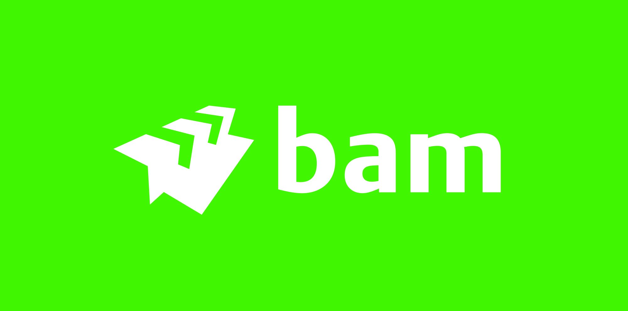 BAM infra wegen regio Oost logo groen wit