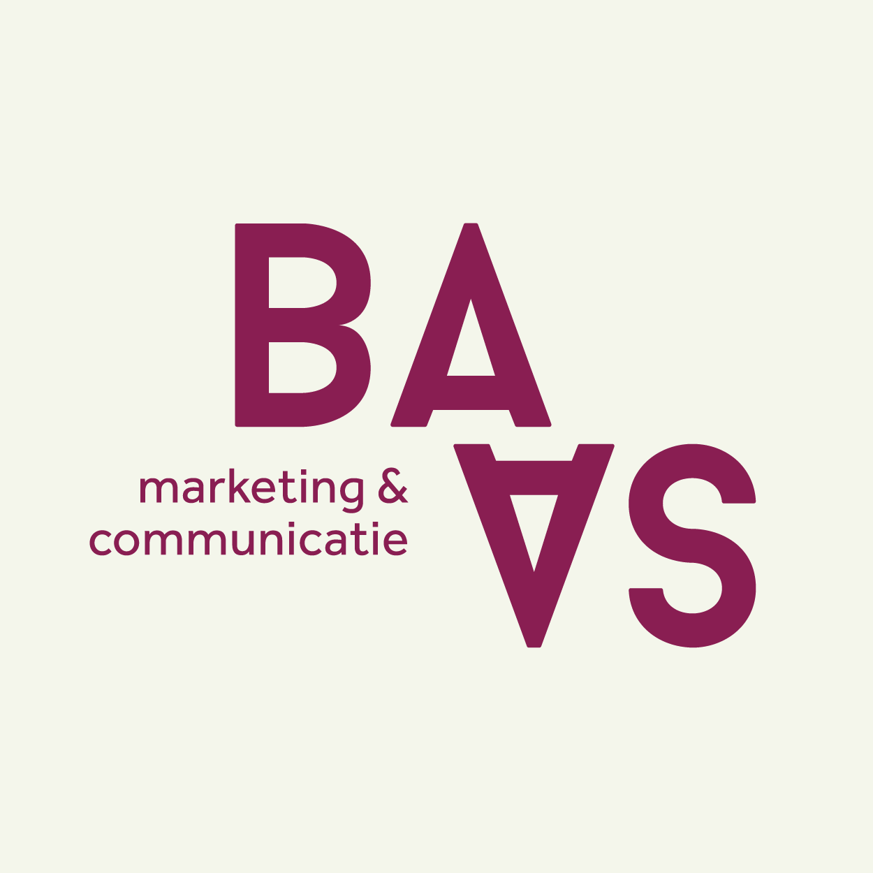 BAAS-huisstijl_linkedin_Profielfoto.png
