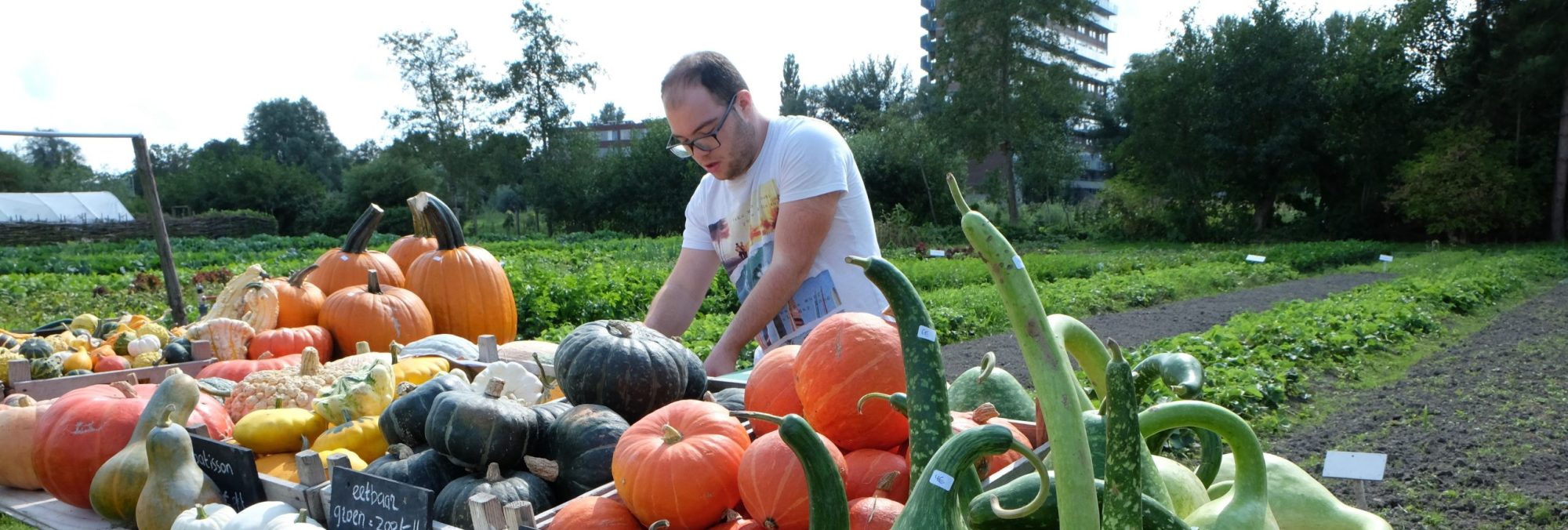Doarpstun Snakkerburen