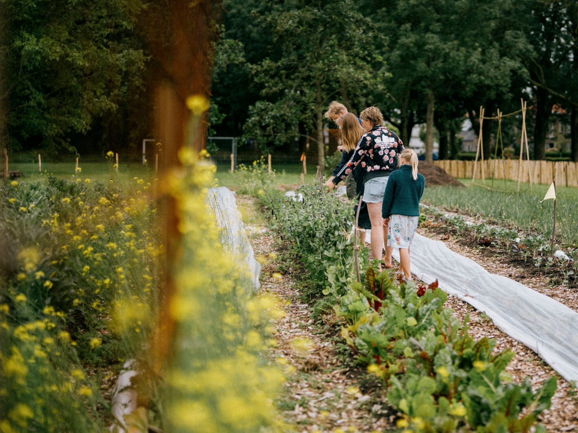Sociale Voedseltuinen Leeuwarden2