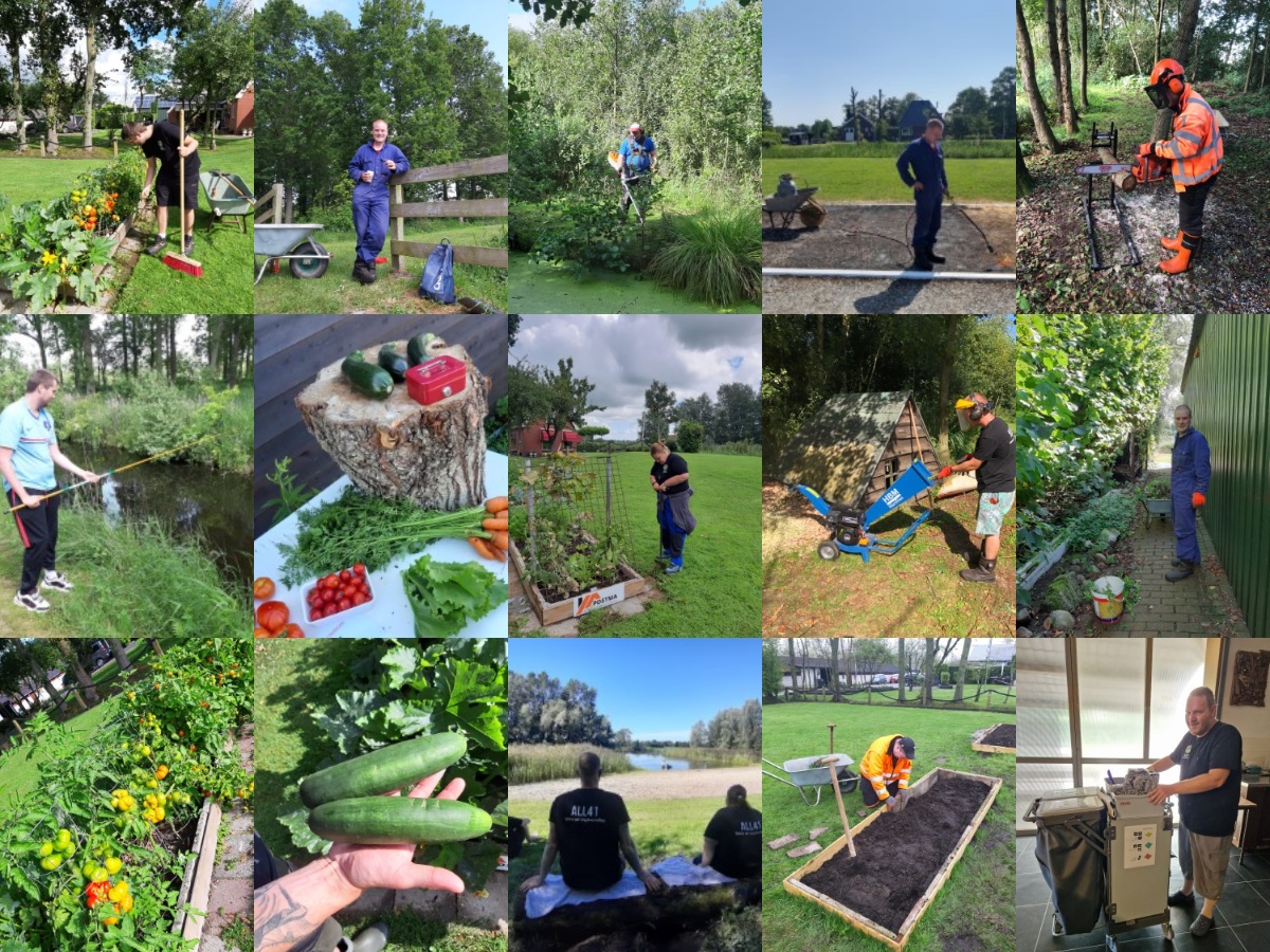 ALL41 Werk En Dagbesteding2