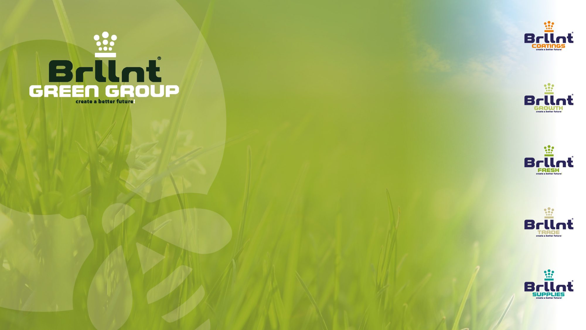 Brllnt-Green-Group_Teams-background_def2-2.jpg