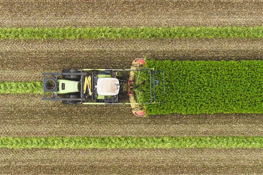 564720546_18072018812212114_2578408509479161537_n